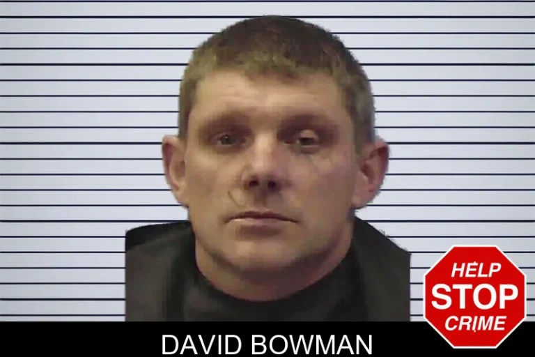 David Bowman