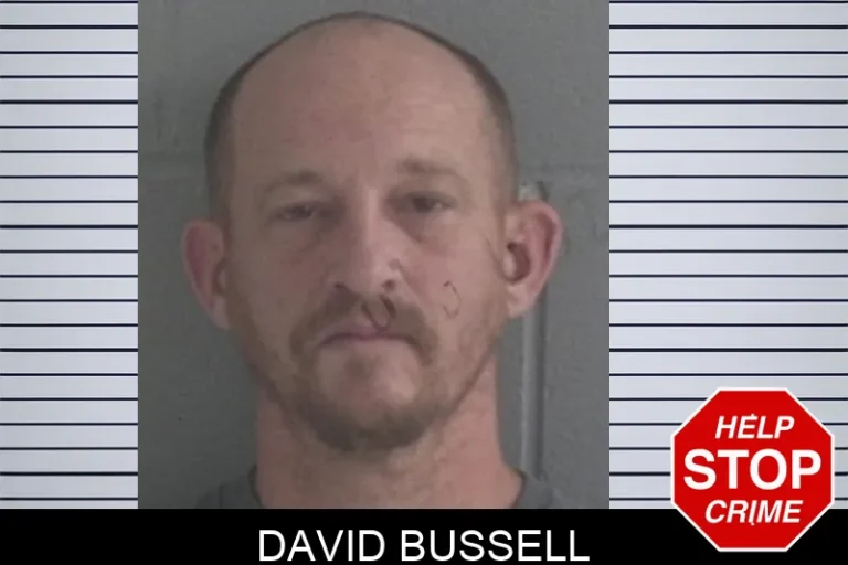 David Bussell