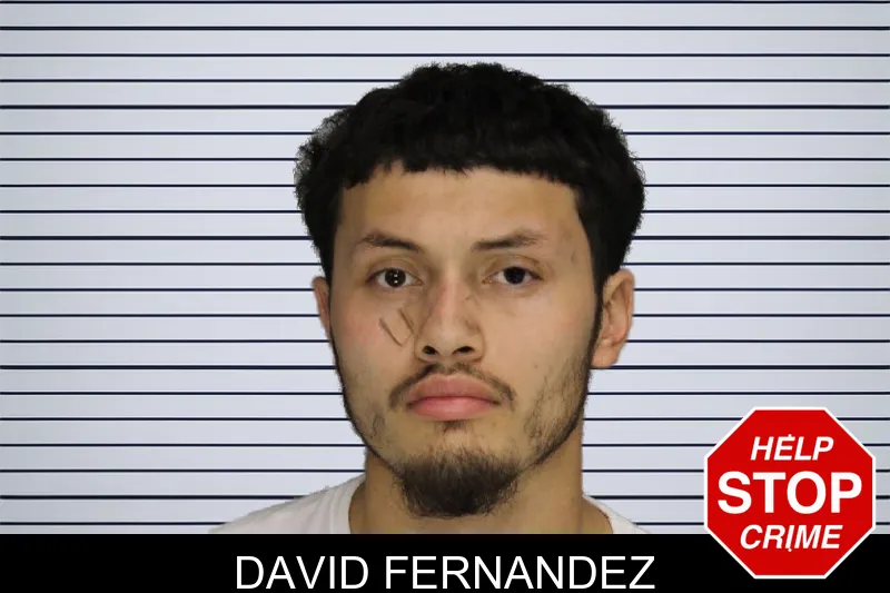 David Fernandez mugshot