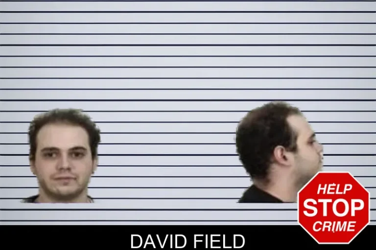 David Field