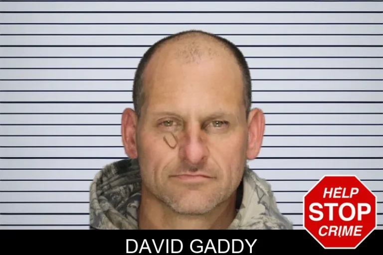 David Gaddy