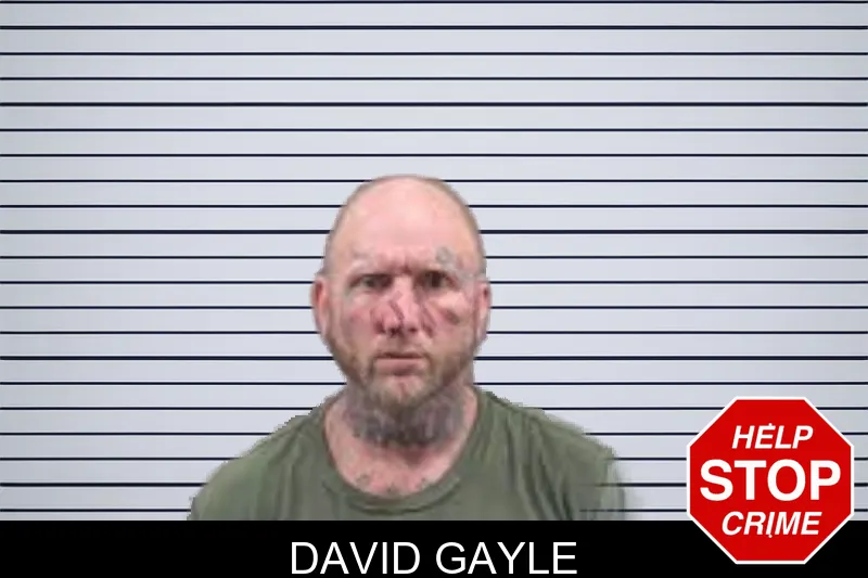 David Gayle mugshot