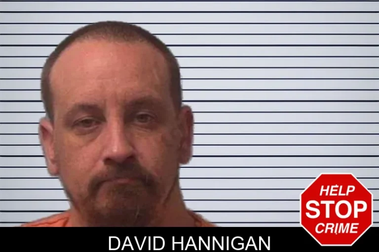 David Hannigan