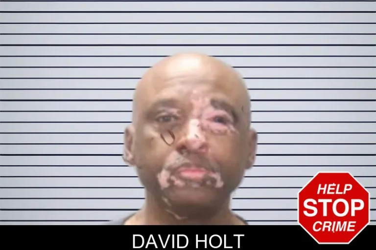 David Holt