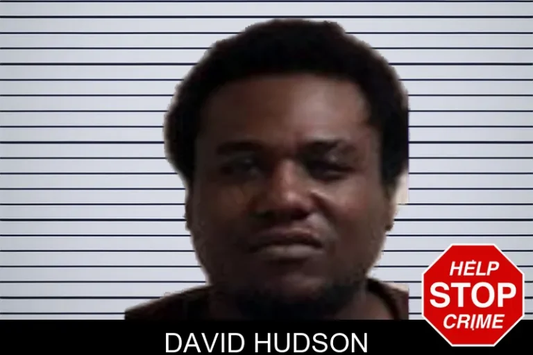 David Hudson
