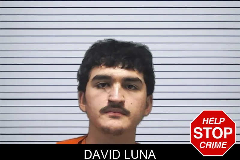 David Luna mugshot