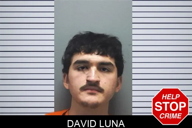 David Luna
