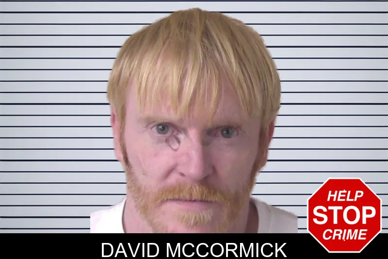David McCormick mugshot – Walker County , Georgia David McCormick mugshot