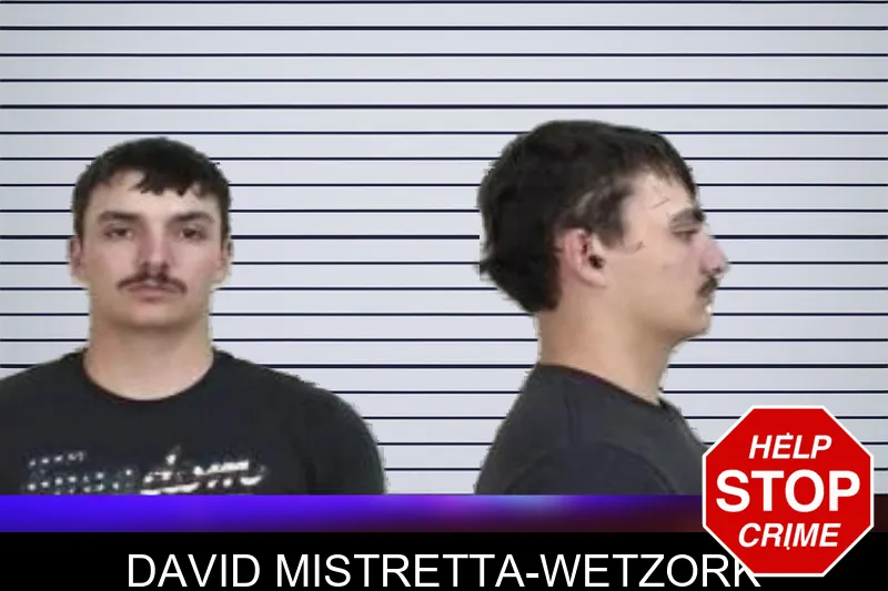 David Mistretta-Wetzork mugshot – Camden County , Georgia David Mistretta-Wetzork mugshot