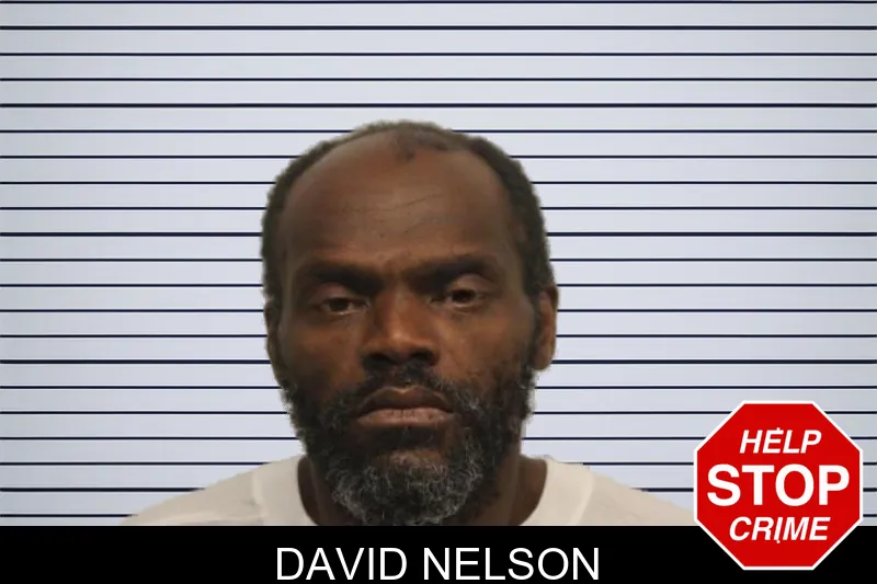 David Nelson mugshot