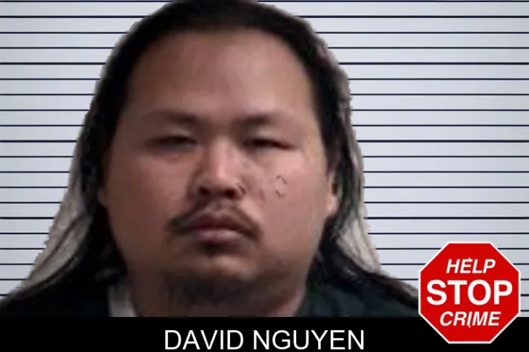 David Nguyen mugshot – Henry County , Georgia David Nguyen