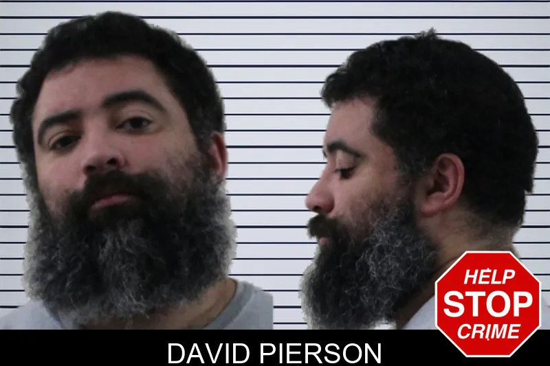 David Pierson mugshot