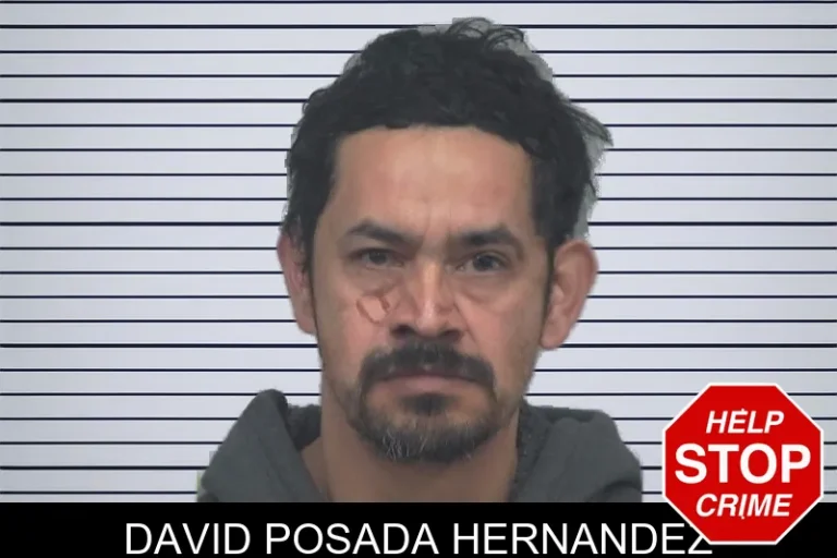 David Posada Hernandez