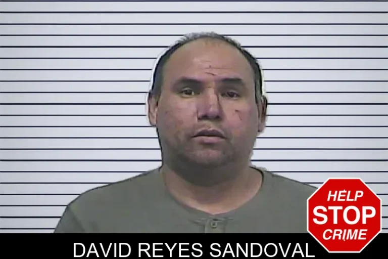 David Reyes Sandoval