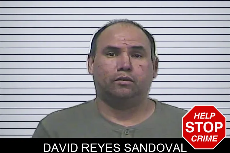 David Reyes Sandoval mugshot