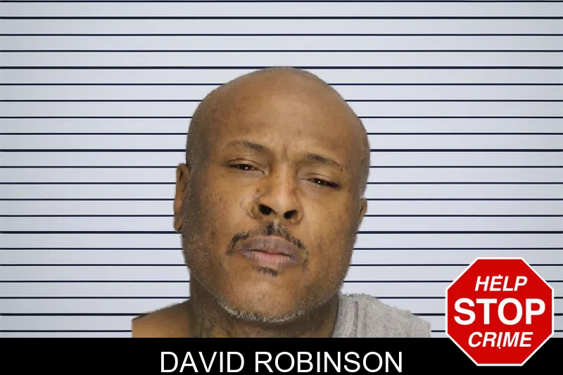 David Robinson mugshot – Cobb County , Georgia David Robinson mugshot