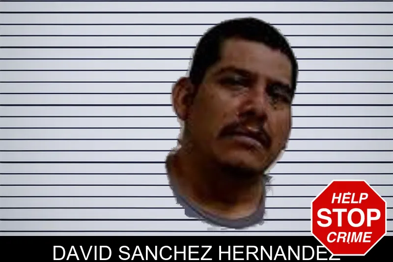 David Sanchez Hernandez mugshot