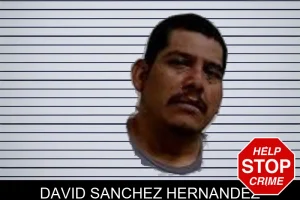 David Sanchez Hernandez mugshot