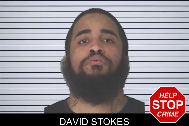 David Stokes mugshot