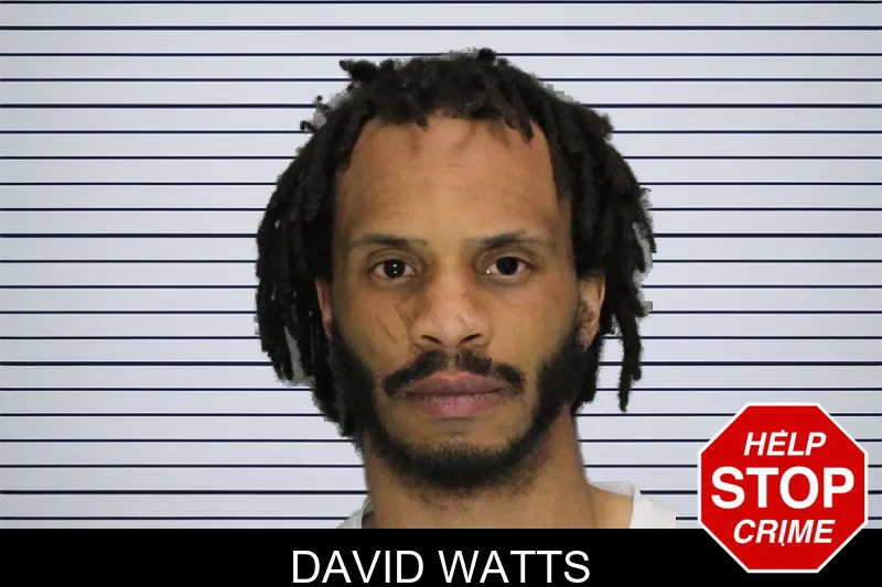 David Watts mugshot