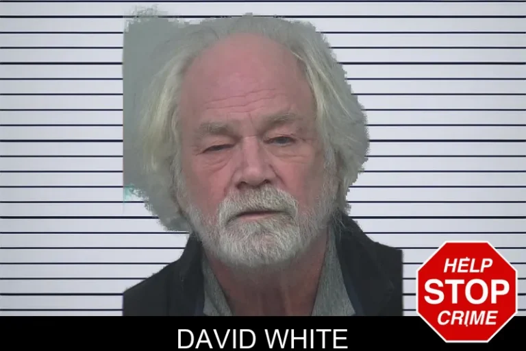 David White mugshot – Gwinnett County , Georgia David White