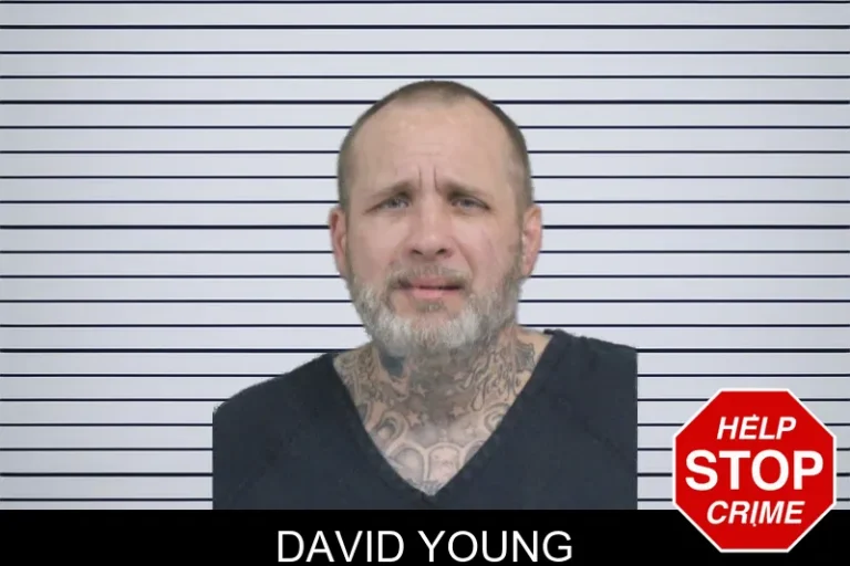 David Young