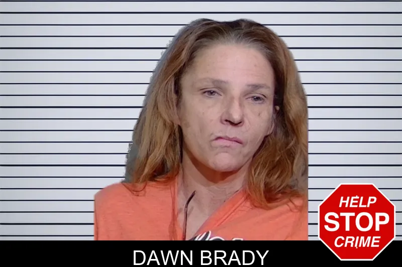 Dawn Brady mugshot