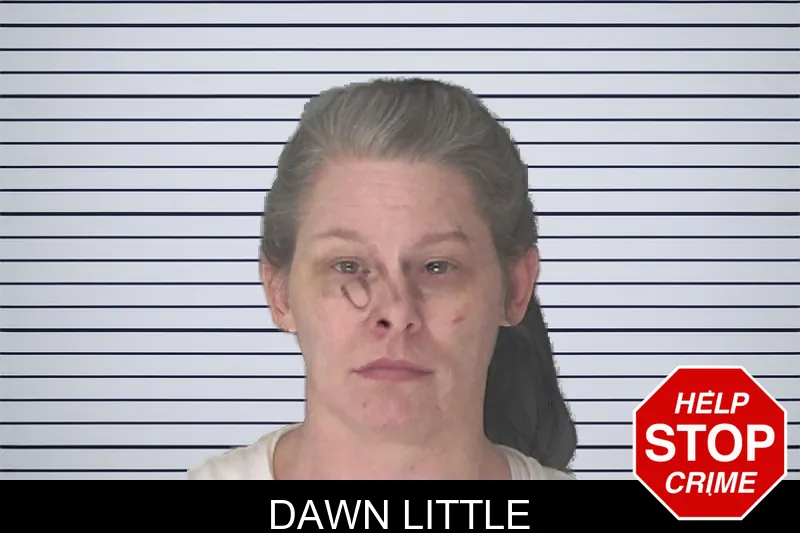 Dawn Little mugshot