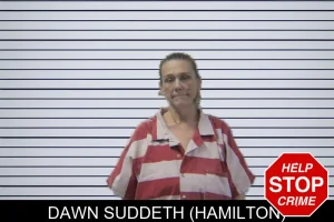 Dawn Suddeth (Hamilton) mugshot