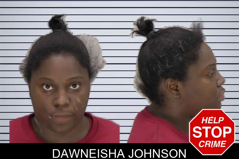 Dawneisha Johnson mugshot