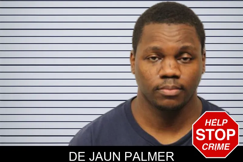 De Jaun Palmer mugshot