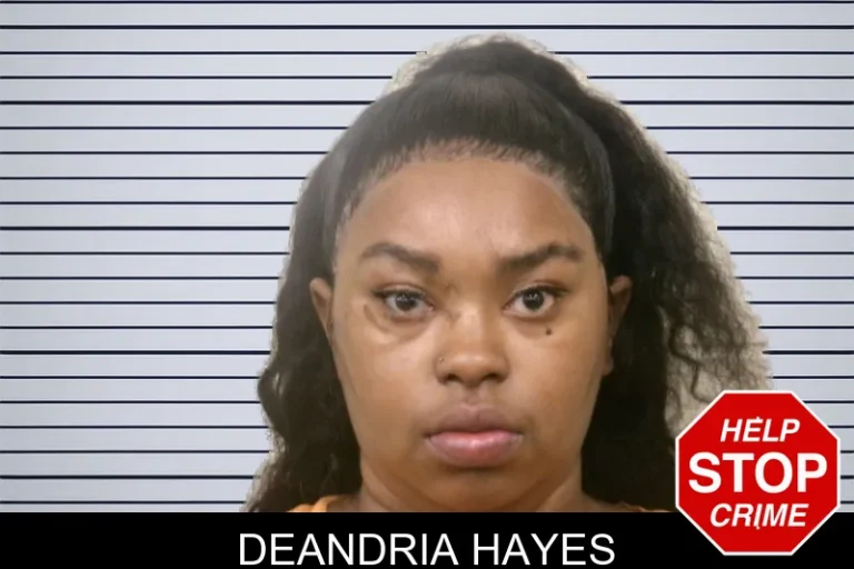 DeAndria Hayes mugshot – Bulloch County , Georgia DeAndria Hayes