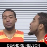 Deandre Nelson mugshot