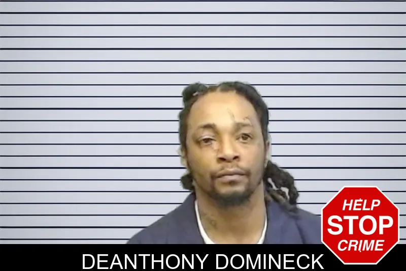 Deanthony Domineck mugshot