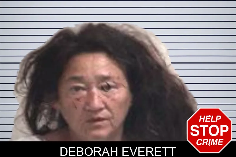 Deborah Everett mugshot – Henry County , Georgia Deborah Everett mugshot