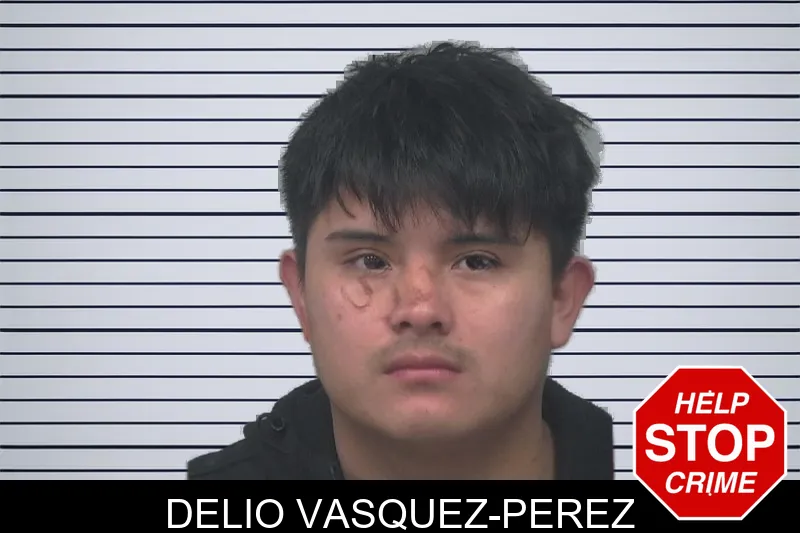 Delio Vasquez-Perez mugshot