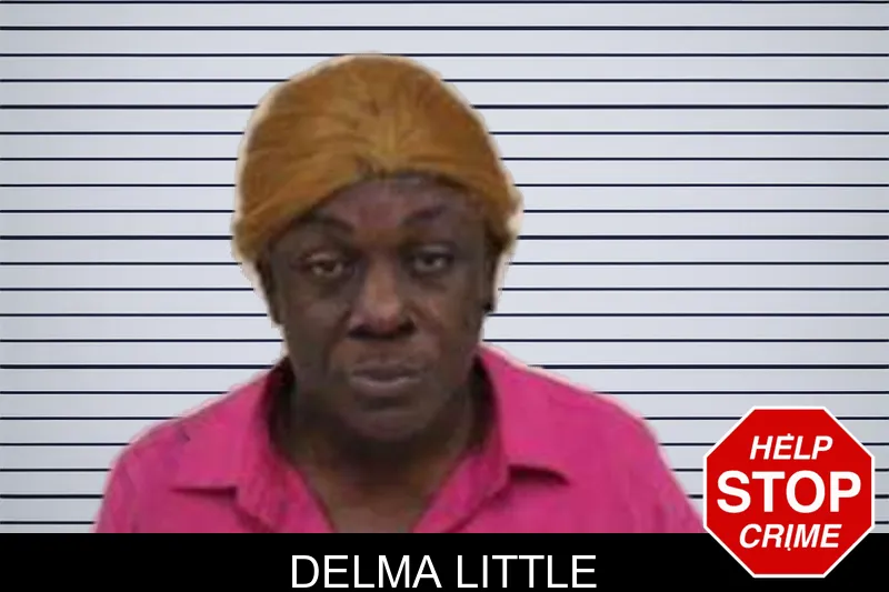 Delma Little mugshot