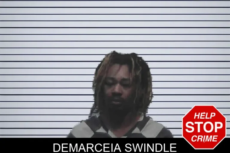 Demarceia Swindle mugshot β Meriwether County , Georgia Demarceia Swindle