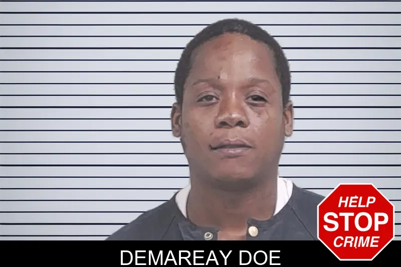 Demareay Doe mugshot – Lowndes County , Georgia Demareay Doe mugshot