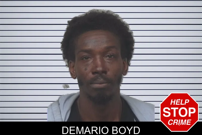 Demario Boyd mugshot