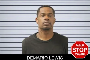 Demario Lewis mugshot
