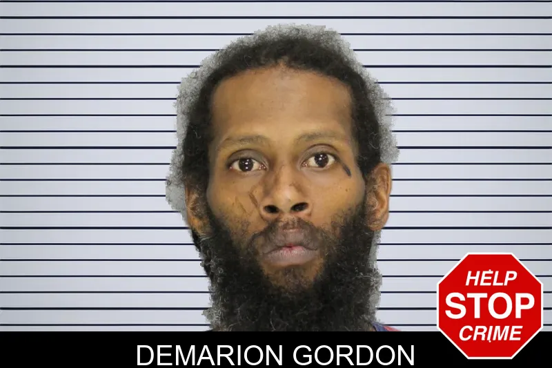 Demarion Gordon mugshot