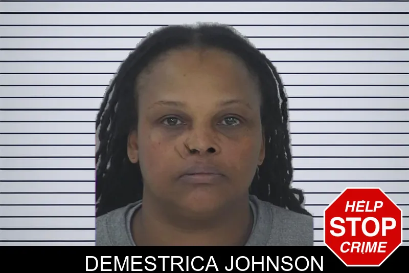 Demestrica Johnson mugshot
