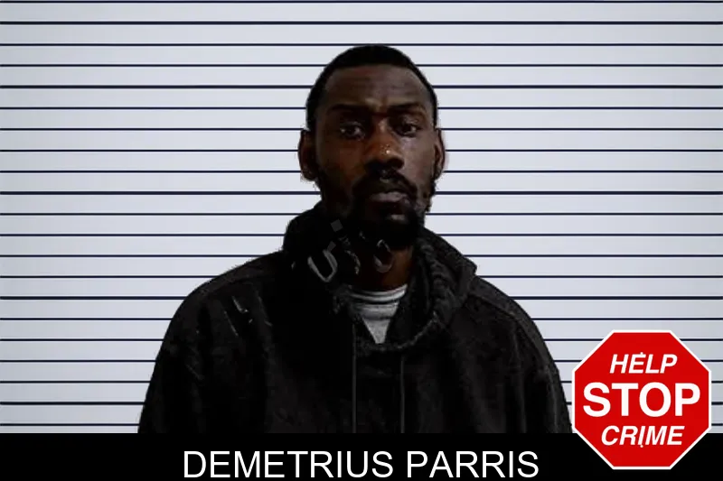 Demetrius Parris mugshot – Decatur County , Georgia Demetrius Parris mugshot