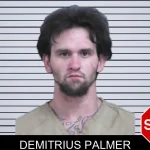 Demitrius Palmer mugshot