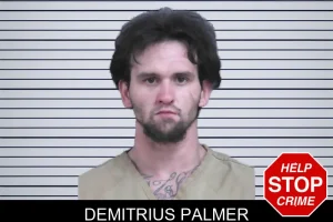 Demitrius Palmer mugshot