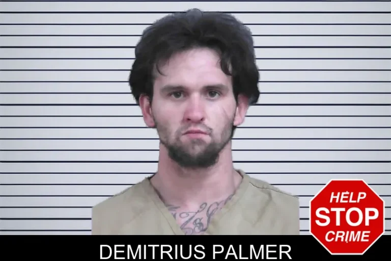 Demitrius Palmer
