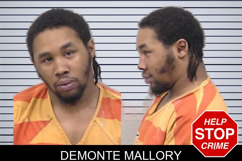 Demonte Mallory mugshot