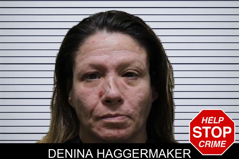 Denina Haggermaker mugshot