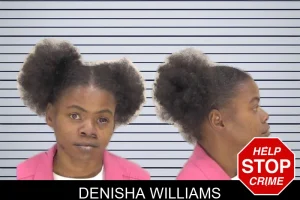 Denisha Williams mugshot